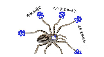 百度蜘蛛是什么？